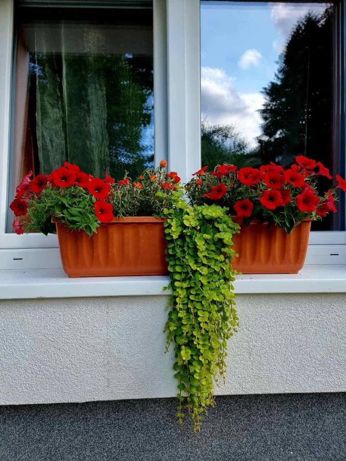 Haus Bierherr Mariazell Esterno foto