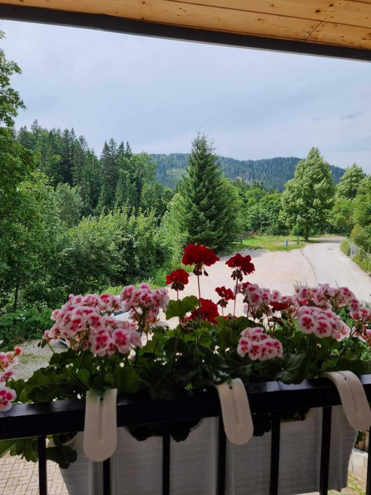 Haus Bierherr Mariazell Esterno foto